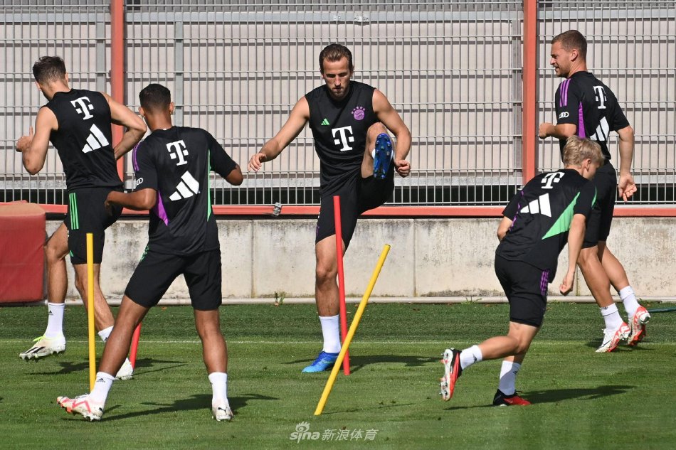 才培养和选 才培养和选